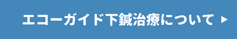 エコーガイド下鍼治療について